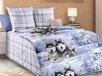 Постельное белье детское Valtery ДБ-63, Бязь, 1.5-спальный