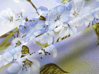 КПБ Японское утро