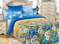 КПБ Васильки