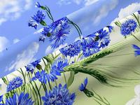 КПБ Василиса