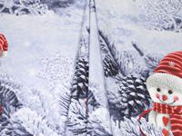 КПБ поплин Время чудес