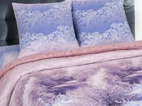 Постельное белье АртПостель Морозное утро Поплин, 2-спальное Постельное белье АртПостель Морозное утро Поплин, 2-спальное