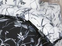 КПБ Мотылек