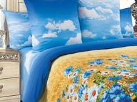 КПБ Васильки