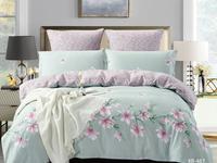 КПБ Сатин печатный КВ-487