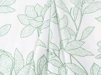 КПБ Фелиция