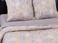 КПБ Монстера