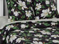 КПБ зима-лето Фелиция КПБ зима-лето Фелиция