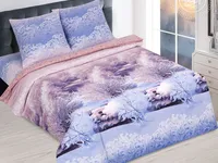 Постельное белье АртПостель Морозное утро Поплин, 2-спальное с европростыней Постельное белье АртПостель Морозное утро Поплин, 2-спальное с европростыней