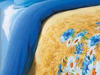 КПБ Васильки