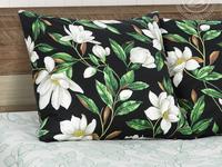 КПБ Фелиция