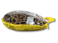 Подушка Дуга