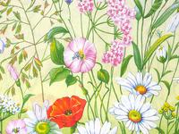 КПБ Родные просторы КПБ Родные просторы