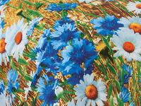 КПБ Васильки