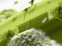 КПБ Дуновение ветра