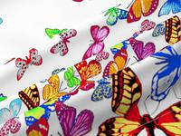 КПБ Вихрь бабочек