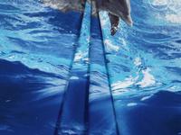 Постельное белье Постельное белье