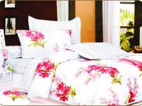 Постельное белье Valtery C-61