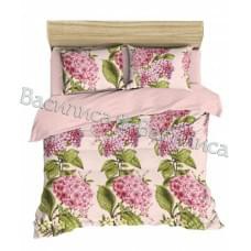 Постельное белье "Василиса" Гортензия Ботаническая гравюра Бязь (Евро)