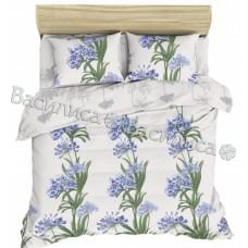 Постельное белье "Василиса" Агапантус Ботаническая гравюра Бязь (2-спальный)