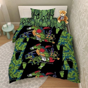 Постельное белье "Василек" Детский Эволюция черепашек Бязь (1,5-спальный)