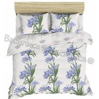 Постельное белье "Василиса" Агапантус Ботаническая гравюра Бязь (Евро)