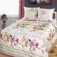 Постельное белье "АртПостель" Ворожея Бязь (Дуэт (Семейнй))