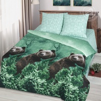 Постельное белье "АртПостель" Сила Сибири Бязь (Евро)