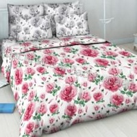 Постельное белье "Василиса" Воздушная акварель Бязь (Дуэт (Семейный))