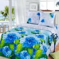 Постельное белье "АртПостель" Герцог с компаньоном Бязь (Дуэт (Семейный)