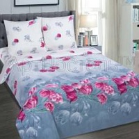 Постельное белье "АртПостель" Отражение Поплин (Дуэт (Семейный))