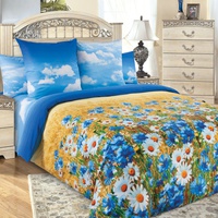 Постельное белье "Текс-Дизайн" Васильки Перкаль (Евро)